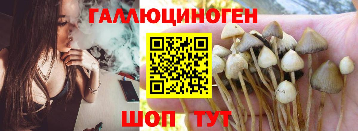 Сыктывкар  наркотики  Псилоцибиновые грибы GOLDEN TEACHER  Вход с VPN  Псилоцибиновые грибы Psilocybine cubensis 